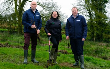 Lakeland Dairies puts down roots for farmers and staff